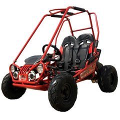 Trailmaster Mini XRX+ 2- Seater GO-KART EAGLE SERIES 163cc Blue