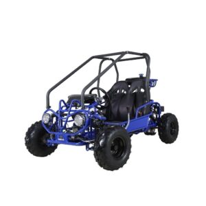 Alternative view of Taotao GK110 Kids Gas Go Kart Dune Buggy