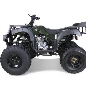 Alternative view of Taotao 250 Rhino Adult Utility ATV