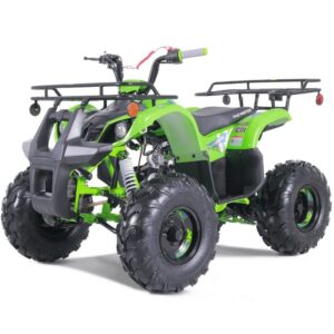 Alternative view of TaoTao T-Force T125 4-Wheeler All-Terrain Vehicle ATV