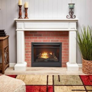 Alternative view of Duluth Forge Dual Fuel Ventless Gas Fireplace Insert