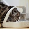 Sure Petcare -SureFlap – SureFeed – Microchip Pet Feeder – Selective-Automatic Pet Feeder Makes Meal Times Stress-Free, Suitable for Both Wet and Dry Food – MPF001
