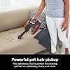 Shark Rocket Ultra-Light Corded Bagless Vacuum for Carpet and Hard Floor Cleaning with Swivel Steering (HV301), Gray/Orange