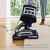 Shark Upright Vacuum, Navigator Lift-Away Deluxe with Large Dust Cup Capacity, HEPA Filter, Swivel Steering, Upholstery Tool & Crevice Tool, Blue, NV360