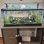 713wBda6L._AC_UC154154_CACC154154_QL85_.jpg Tetra Glass Aquarium 29 Gallons, Rectangular Fish Tank, Assorted Color