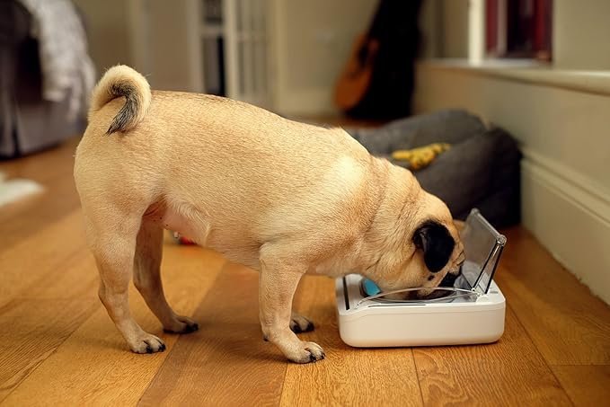 Sure Petcare – SureFeed – Motion Activated Sealed Pet Bowl – NOT Microchip Activated