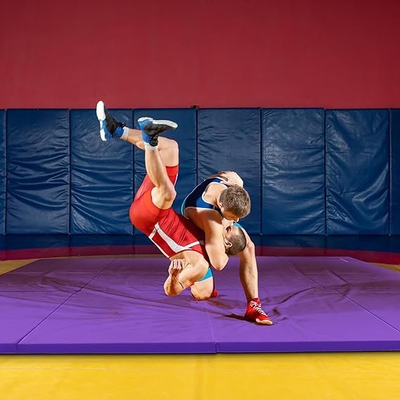 71UC5QI3BBL._AC_SX569_.jpg BalanceFrom 10×4 Feet 4-Panel Folding Gymnastics Mat – 2-Inch Thick Pad with Vinyl Surface and Carrying Handles for Tumbling, Yoga, Pilates, Home Workouts, and Martial Arts