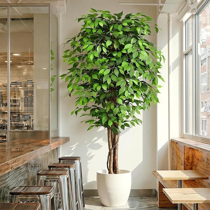 7ft Artificial Ficus Tree, Set of 2
