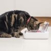 Sure Petcare – SureFeed – Motion Activated Sealed Pet Bowl – NOT Microchip Activated