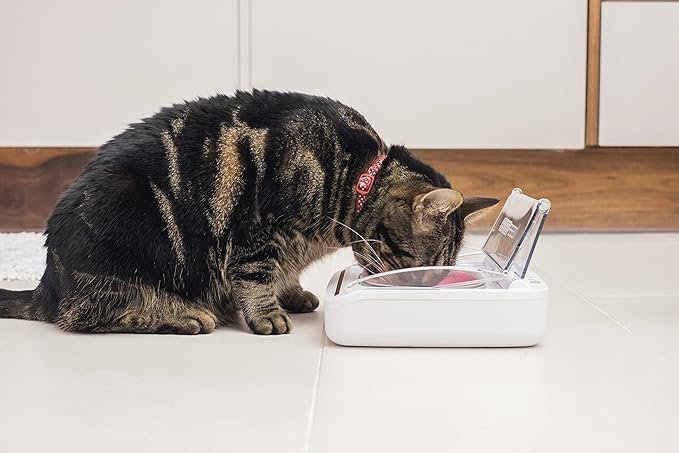 Sure Petcare – SureFeed – Motion Activated Sealed Pet Bowl – NOT Microchip Activated