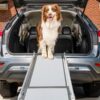bff2be7a-fe6f-4b76-9ee9-eb334adbe11b.__CR001200900_PT0_SX800_V1___.jpg PetSafe Happy Ride Compact Telescoping Dog Ramp – Portable Pet Ramp for Cars, Trucks & SUVs with Adjustable Sizing – Non-Slip Design – Lightweight Pet Mobility Assistance – Extra Long
