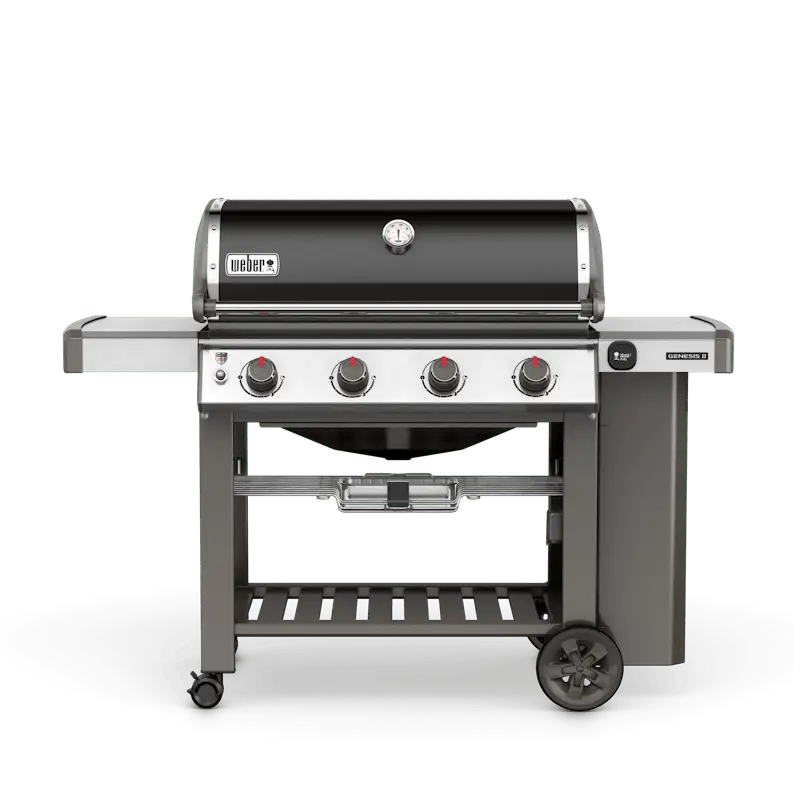 k1-3-1.webp Weber Genesis II E-410 NGs