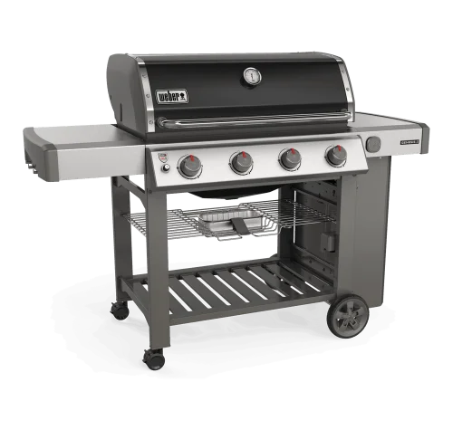 k2-3-1.webp Weber Genesis II E-410 NGs