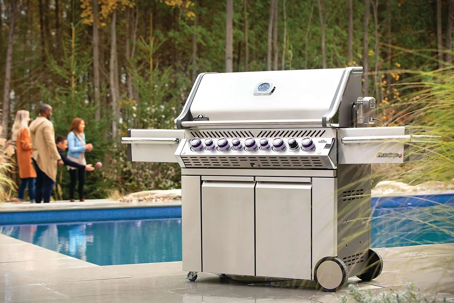 n3-1-1.webp Napoleon Prestige 665 5-Burner Propane Grills