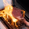 Monument Grills Eminence 605 Advanced Stainless Natural/Propane Gas Grills Eminence 605