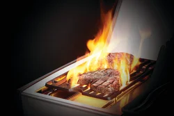 Napoleon Rogue SE 425 Gas Grills